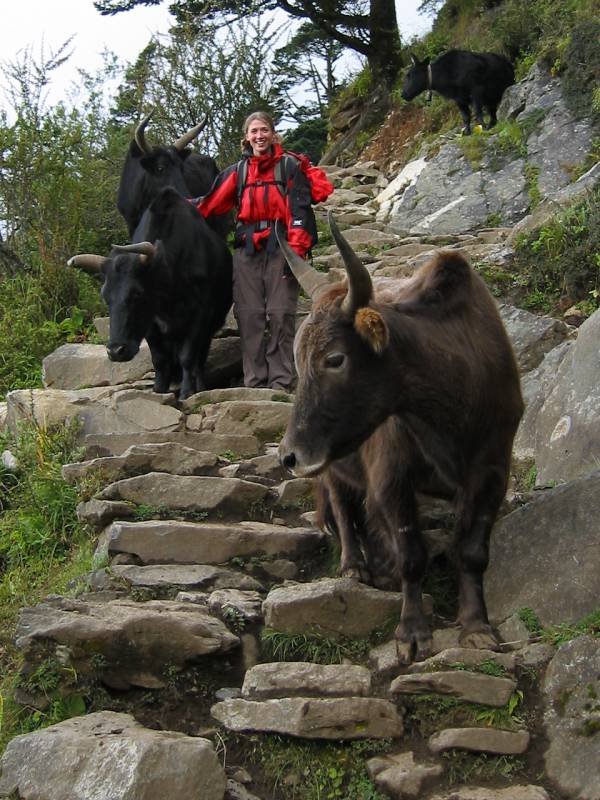 Day 4: Sian and Yaks